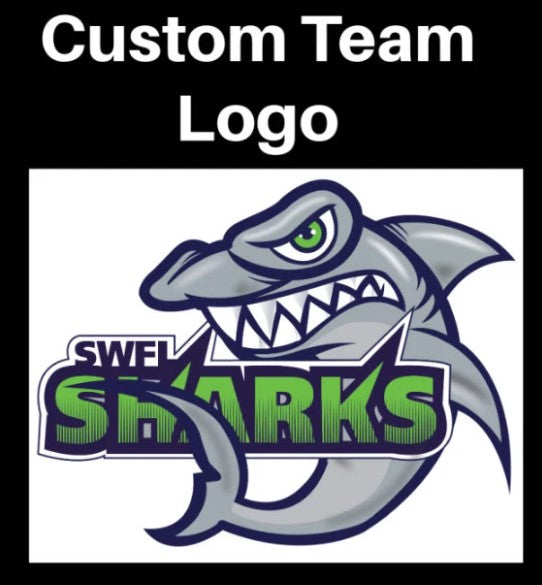 All Sport Logos - Any Team (List Attached)- Ready to Press DTF transfers