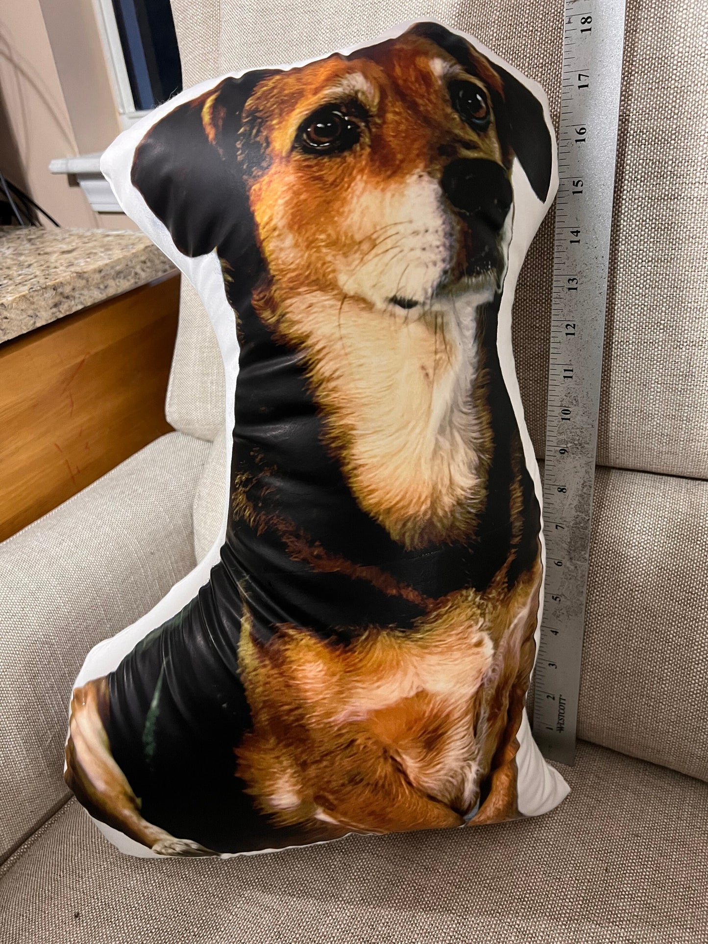 Pet Pillow (various sizes)