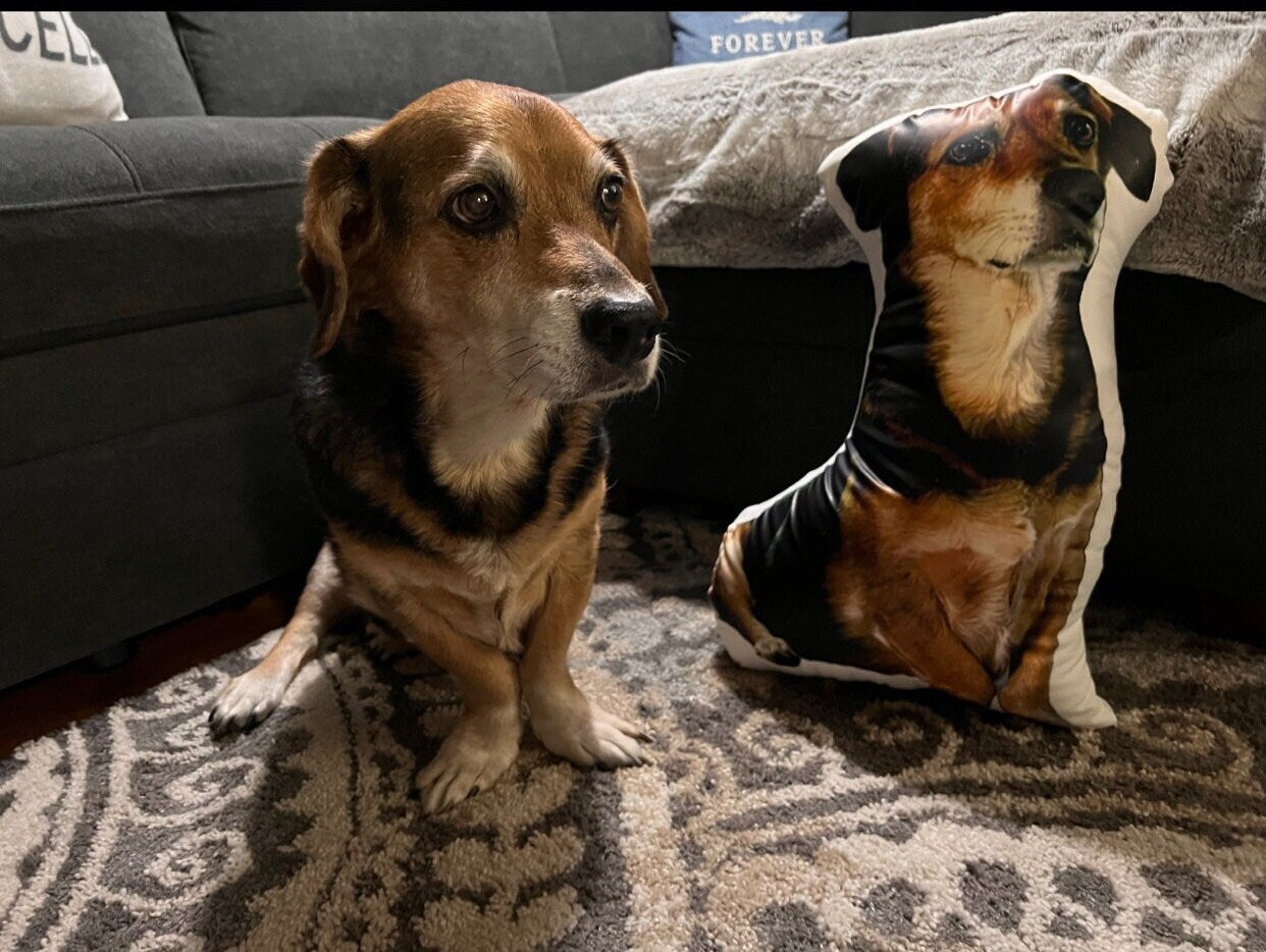 Pet Pillow (various sizes)