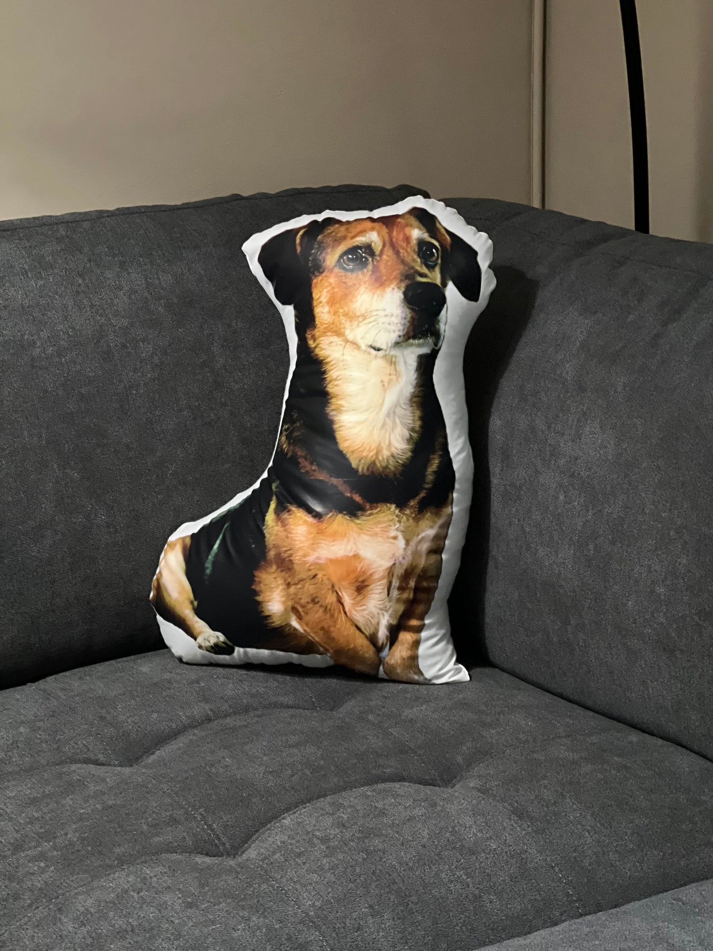 Custom Pet Pillow (various sizes)