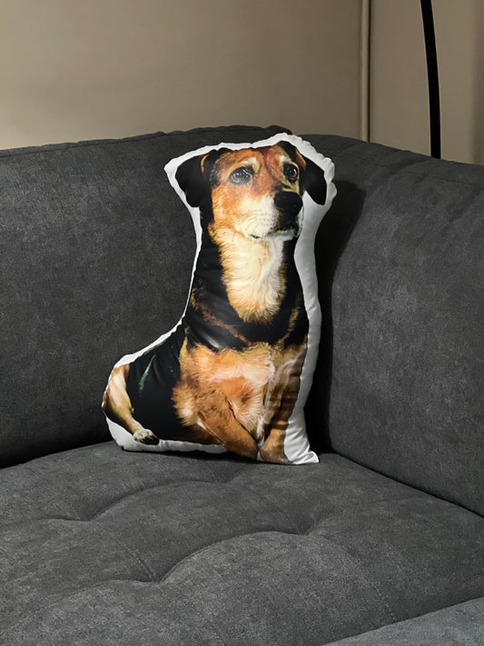 Custom Pet Pillow (various sizes)