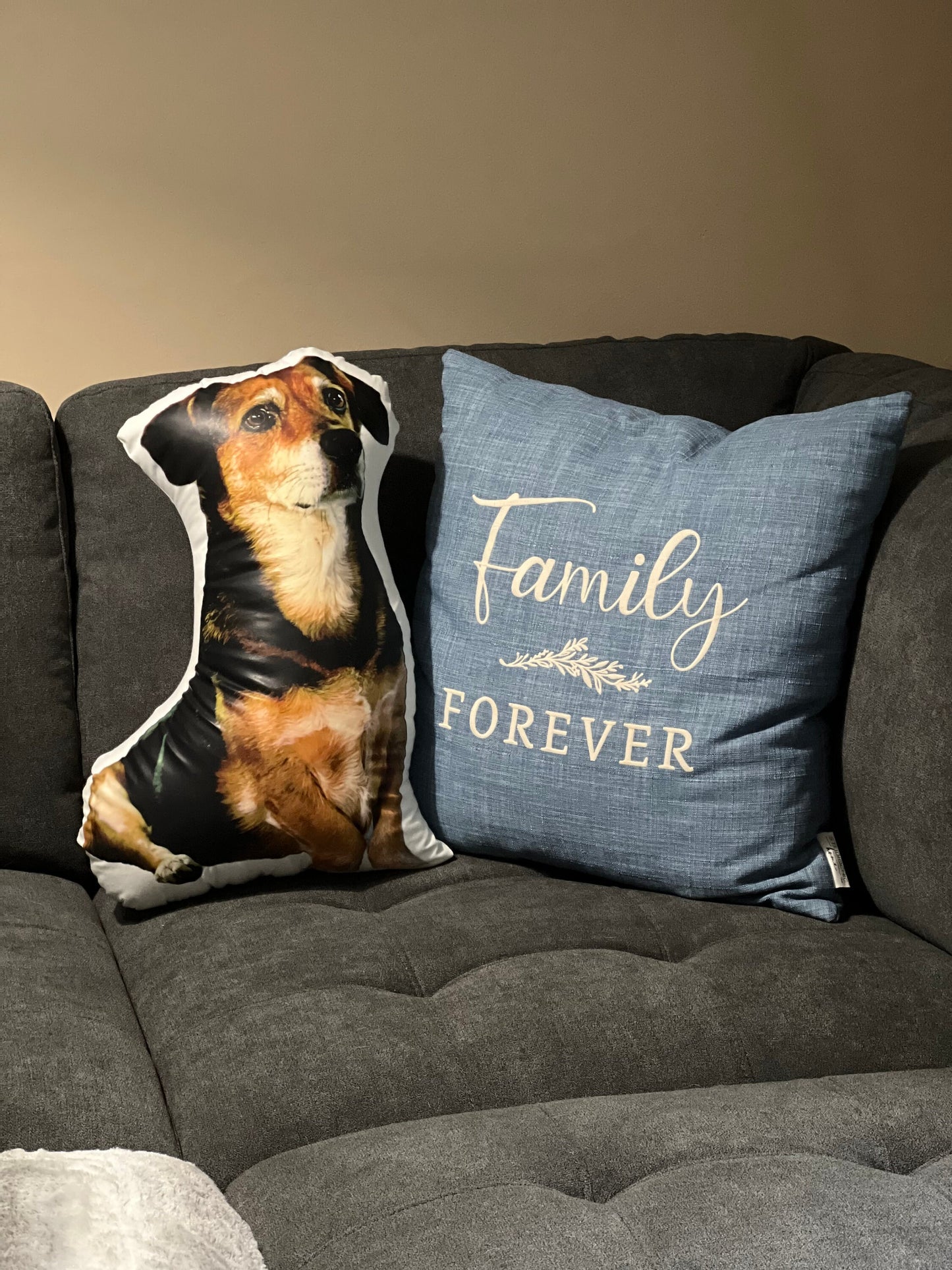 Custom Pet Pillow (various sizes)